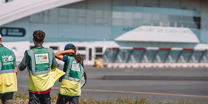 Scientifiques de l'association Aériobiodiversité, avec en fond, l'Aéroport de Caen